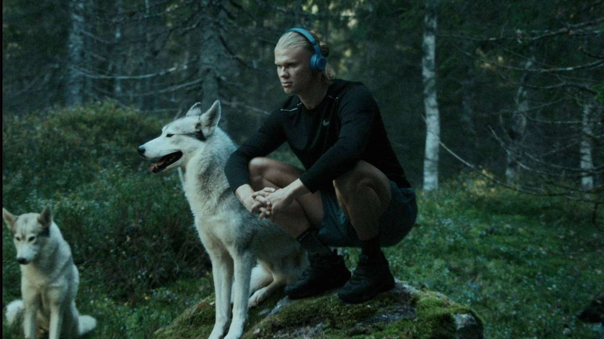 曼联未来的 曼联未来的